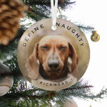 Funny Pet Define Naughty Christmas Photo Glass Glass Tree Decoration<br><div class="desc">Funny Pet Photo Christmas Glass Ornament. Design features,  a picture of your dog or cat,  a overaly,  the text 'DEFINE NAUGHTY' and the pet's name. Makes a wonderful keepsake gift.</div>