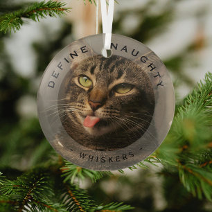 Funny Pet Define Naughty Christmas Photo Glass Tree Decoration