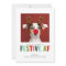 Funny Pet Dog Cat Photo Christmas Card Festive AF