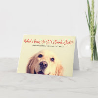 Funny Pet Dog Holiday | Photo Greeting