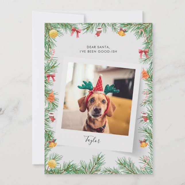 Funny Pet Dog Photo Custom Christmas Holiday Card (Front)