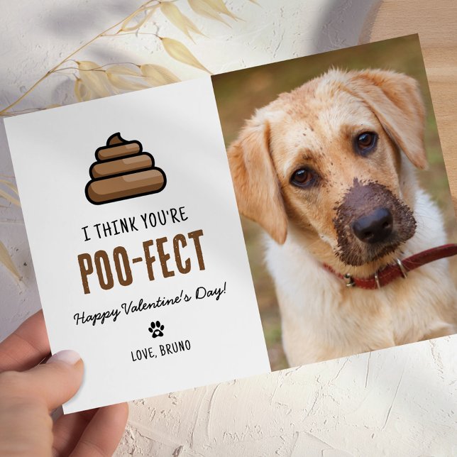 Funny Pet Dog Valentines Day Card (Creator Uploaded)