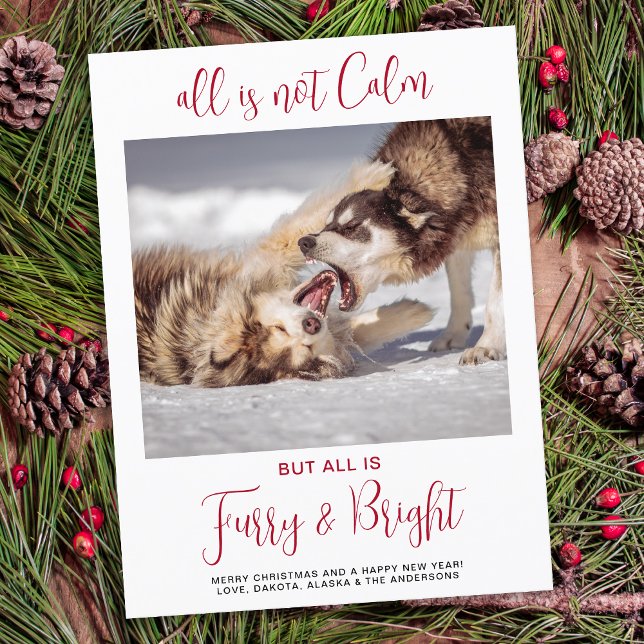 Funny Pet Furry & Bright Custom Dog Photo  Holiday Postcard (Creator Uploaded)