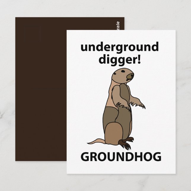 Funny Pet Groundhog Postcard (Front/Back)