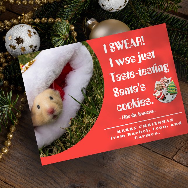 Funny pet Hamster Photo Christmas Card (Creator Uploaded)
