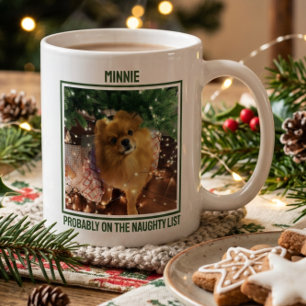 Funny Pet Photo Christmas Naughty List Coffee Mug