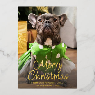 Funny Pet Photo Merry Christmas Family