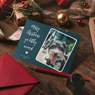 Funny Pet Photo Merry Christmas  Holiday Card