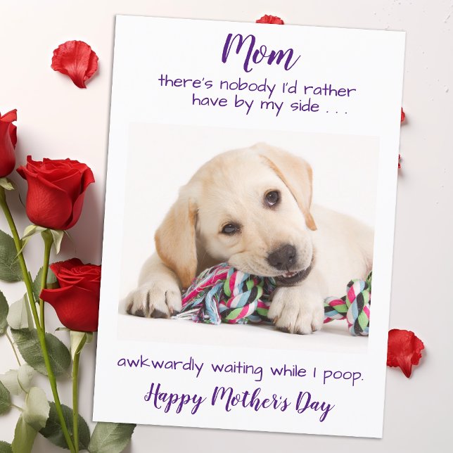 Funny Pet Photo Personalised Dog Mum Mothers Day Holiday Card (Creator Uploaded)