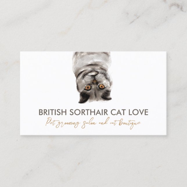 Funny Pet Sitter Grey British Shorthair Cat Business Card (Front)