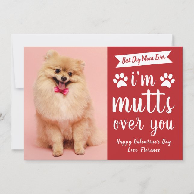 Funny Pets Dog Lover Happy Valentine's Day Holiday Card (Front)