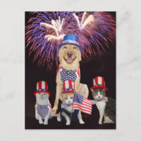 Funny Pets July 4th Invitation