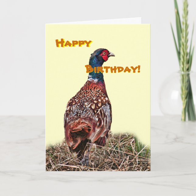 Funny Pheasant birthday card (Front)
