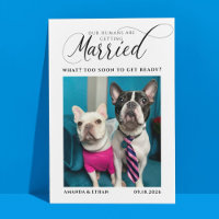 Funny Photo Dog-Themed Wedding