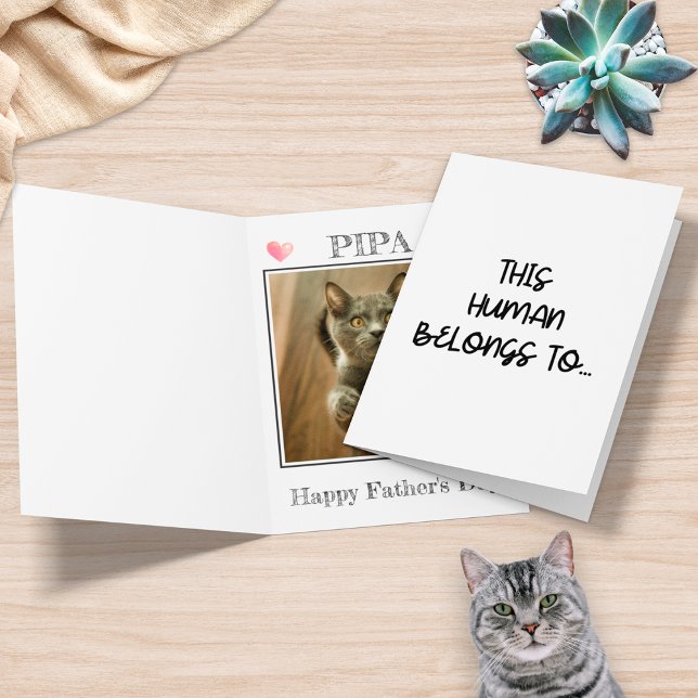 Funny Photo From Cat This Human Belongs To Card (Creator Uploaded)
