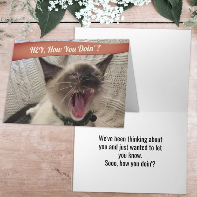 Funny Photo Yelling Siamese Cat How You Doin'  Car Card (Creator Uploaded)