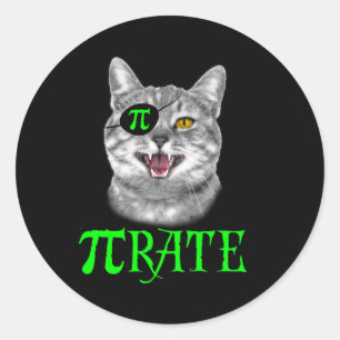 Funny Pi Day Math Science Cat Pirate Colour  Classic Round Sticker