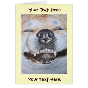 funny picture of akita smiling cute dog