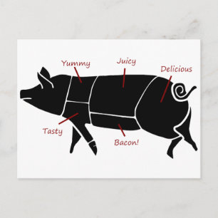 Funny Pig Butcher Chart Diagram Postcard
