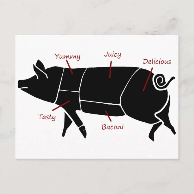Funny Pig Butcher Chart Diagram Postcard (Front)