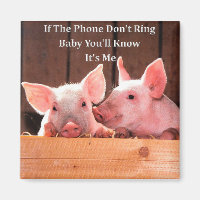 Funny Pig Memes with funny pig sayings and quotes