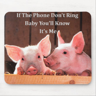 Funny Pig Memes with funny pig sayings and quotes Mouse Pad