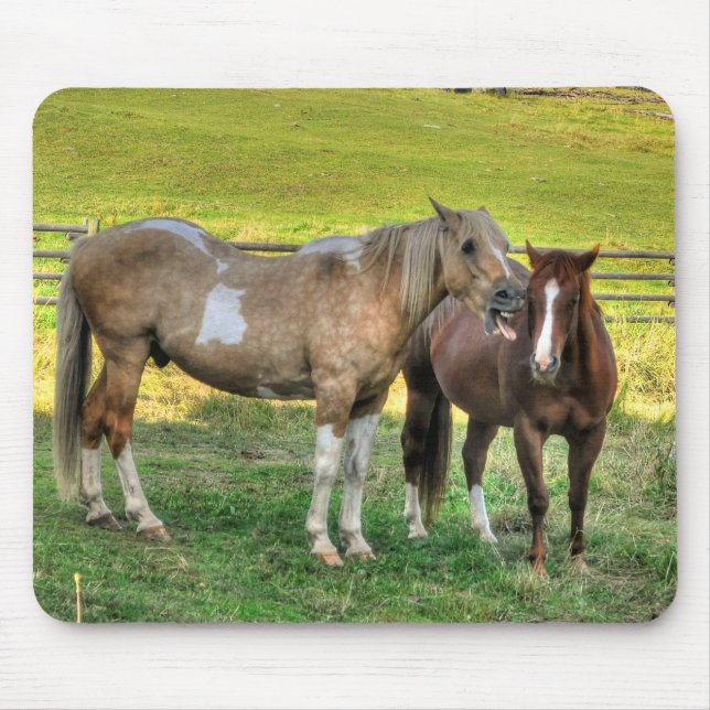 Funny Pinto Stallion & Sorrel Mare Horse Friends 2 Mouse Pad (Front)