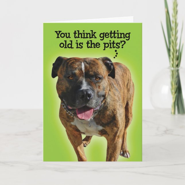 Funny Pit Bull Birthday Card (Front)