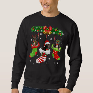 Funny Pitbull Christmas Tree Socks Dog Lover Xmas Sweatshirt