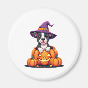 Funny Pitbull Witch Pumpkin Dog Halloween Mens Wom Magnet