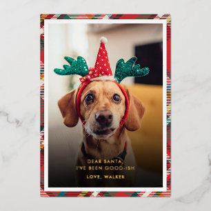 Funny Plaid Dog Pet Photo Christmas