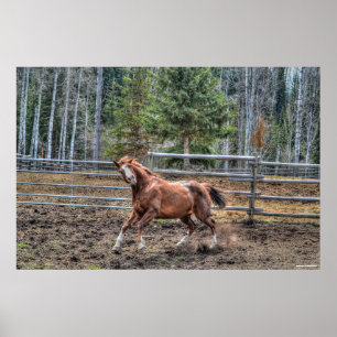 Funny, Playful Chestnut Ranch Horse Equine Photo Poster