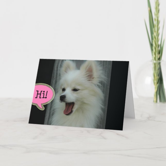 Funny Pom Hello Greeting Card (Front)