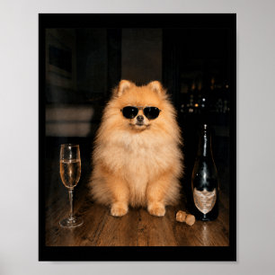 Funny Pomeranian Drinking Champagne Meme Poster