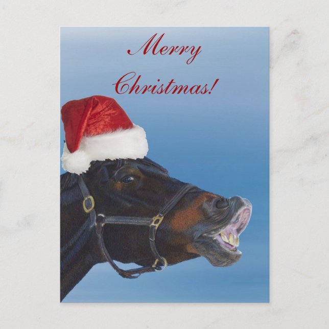 Funny Pony Merry Christmas Holiday Postcard (Front)