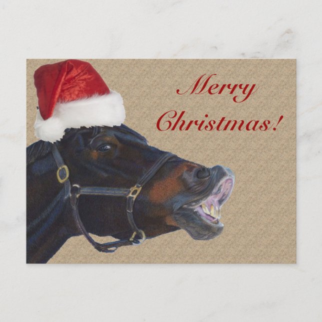 Funny Pony Merry Christmas Holiday Postcard (Front)