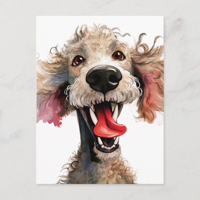 Funny Poodle Cartoon Postcard (Front)