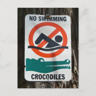 Funny Pool or Swimming Hole Sign Postcard