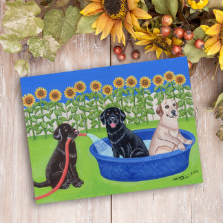Funny Pool Party Labradors Postcard