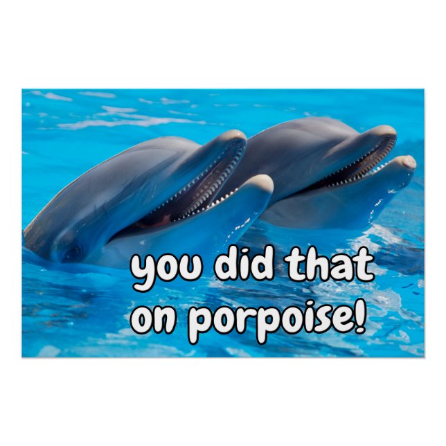 Funny Porpoise Memes Funny Porpoise Sayings Quotes Poster (Front)