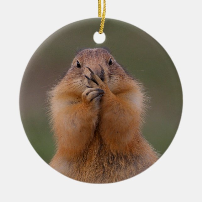 funny prairie dog ceramic tree decoration (Front)