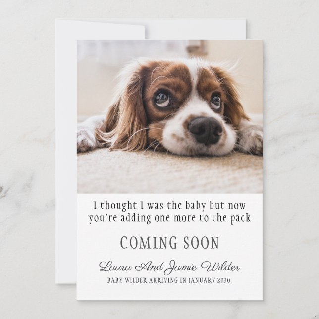 Funny Pregnancy Announcement (Front)