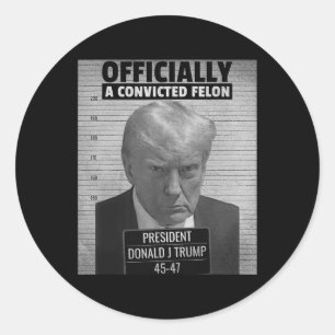 Funny President Trump Is Officially A Convicted Fe Classic Round Sticker