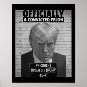 Funny President Trump Is Officially A Convicted Fe Poster