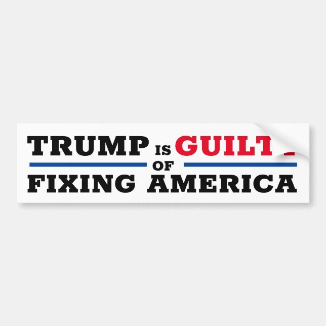 Funny Pro Trump Anti Impeachment Bumper Sticker (Front)