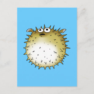 funny puffer fish postcard