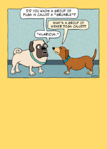 Funny Wiener Dog Birthday Cards Zazzle Co Nz