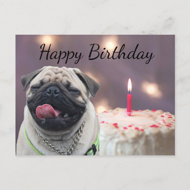 Funny pug birthday postcard (Front)