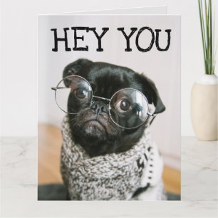 FUNNY PUG DOG BIRTHDAY GREETING CARDS