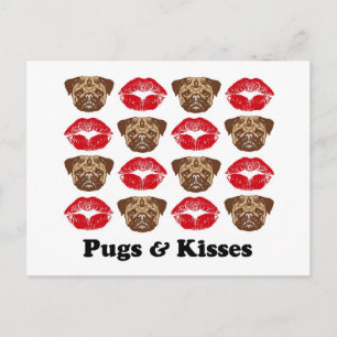 Funny Pug Postcard